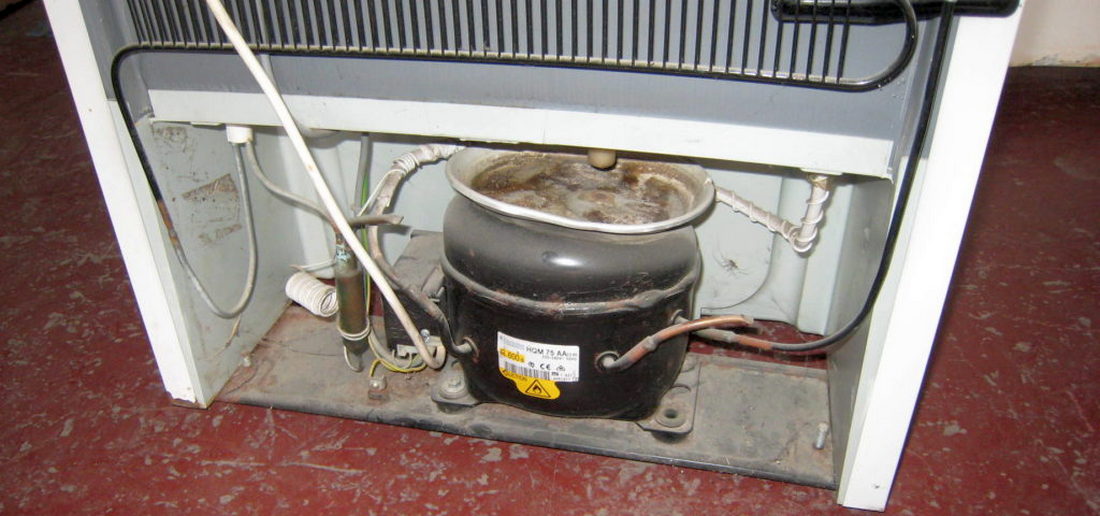 Ремонт холодильников Snaige