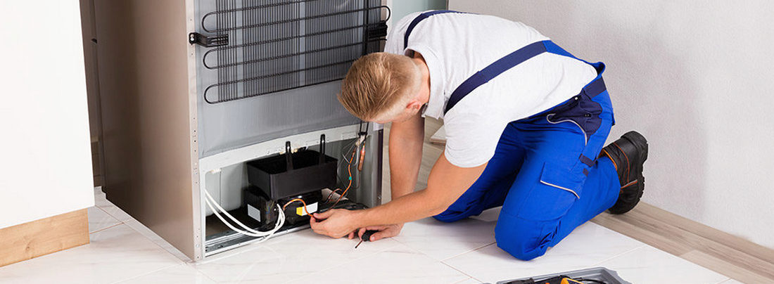 Ремонт холодильников Zanussi